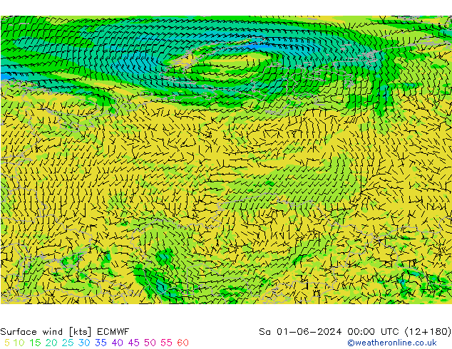 Vento 10 m ECMWF sab 01.06.2024 00 UTC