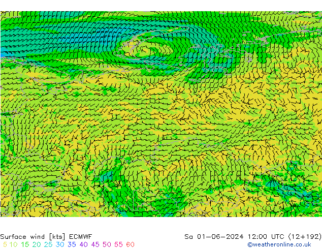  10 m ECMWF  01.06.2024 12 UTC