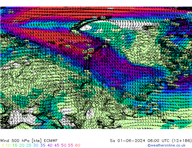 ветер 500 гПа ECMWF сб 01.06.2024 06 UTC