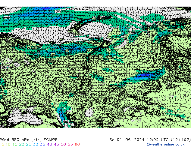 Wind 850 hPa ECMWF Sa 01.06.2024 12 UTC