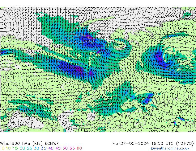 ветер 900 гПа ECMWF пн 27.05.2024 18 UTC