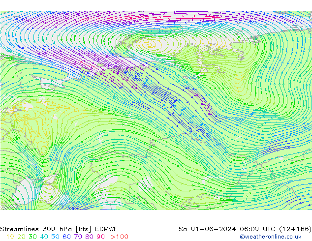 Línea de corriente 300 hPa ECMWF sáb 01.06.2024 06 UTC