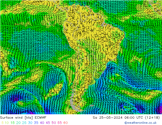 Surface wind ECMWF Sa 25.05.2024 06 UTC