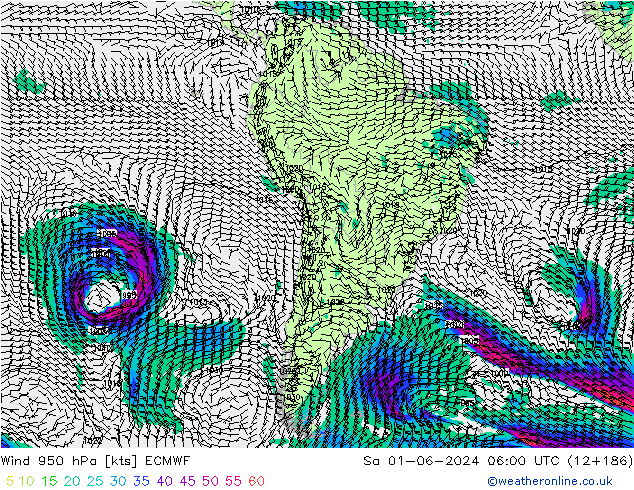 Vent 950 hPa ECMWF sam 01.06.2024 06 UTC