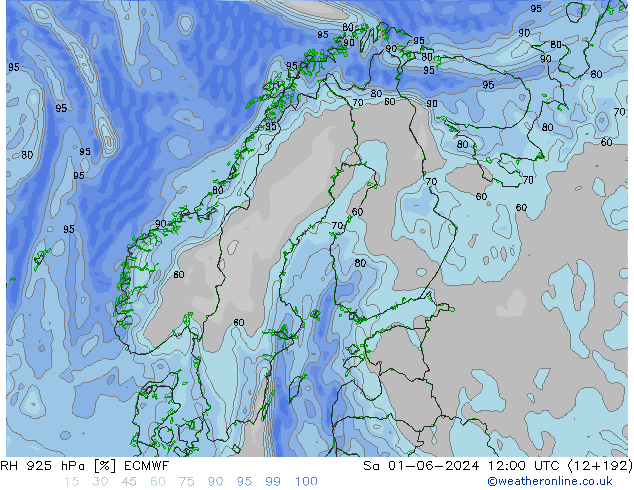 RH 925 гПа ECMWF сб 01.06.2024 12 UTC