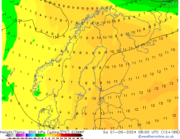 Height/Temp. 850 hPa ECMWF Sa 01.06.2024 06 UTC