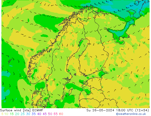 ветер 10 m ECMWF Вс 26.05.2024 18 UTC