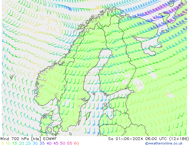 Wind 700 hPa ECMWF Sa 01.06.2024 06 UTC