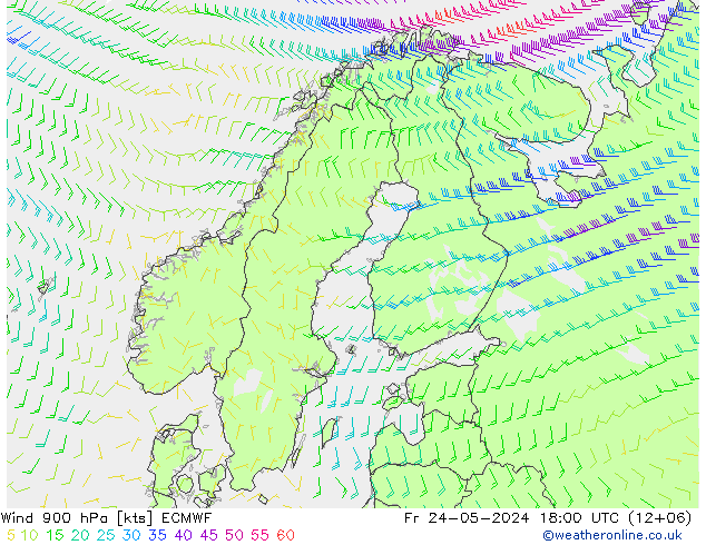 wiatr 900 hPa ECMWF pt. 24.05.2024 18 UTC