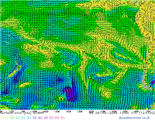 wiatr 10 m ECMWF śro. 29.05.2024 12 UTC