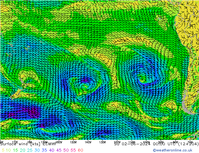 Wind 10 m ECMWF zo 02.06.2024 00 UTC