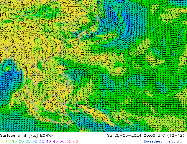 Vent 10 m ECMWF sam 25.05.2024 00 UTC