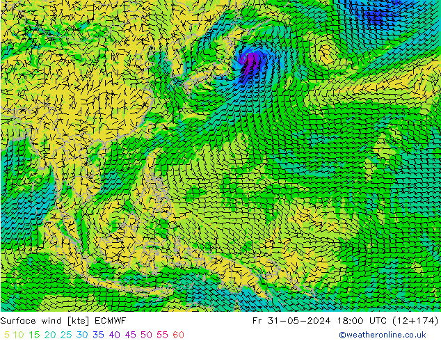 Vento 10 m ECMWF ven 31.05.2024 18 UTC