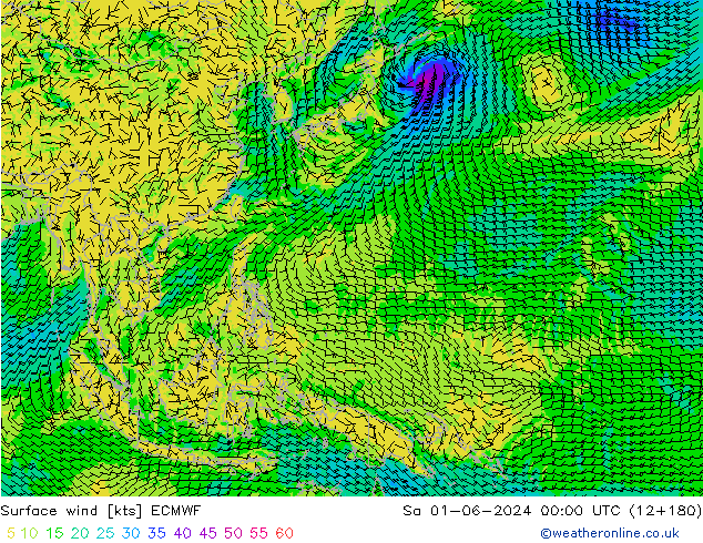 Vento 10 m ECMWF Sáb 01.06.2024 00 UTC