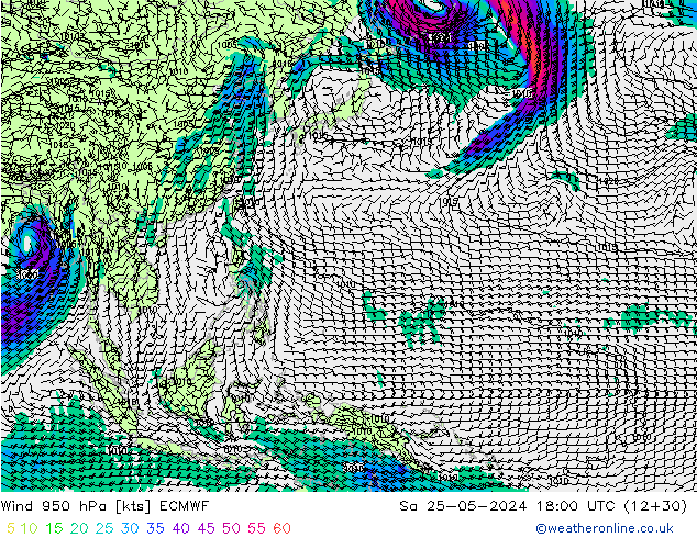 wiatr 950 hPa ECMWF so. 25.05.2024 18 UTC