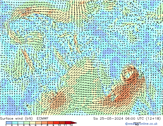 Vento 10 m (bft) ECMWF sab 25.05.2024 06 UTC