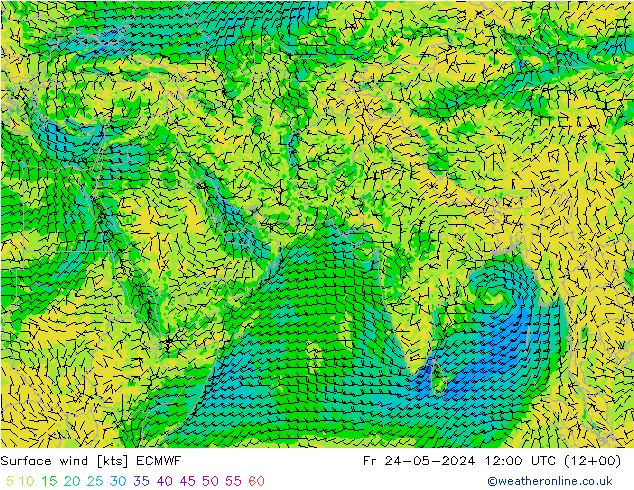 Wind 10 m ECMWF vr 24.05.2024 12 UTC