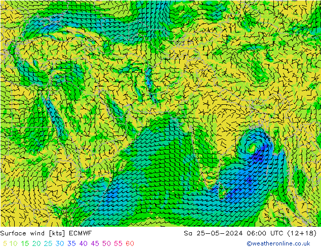 Vento 10 m ECMWF sab 25.05.2024 06 UTC