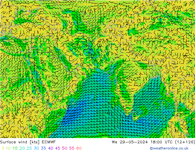 Surface wind ECMWF We 29.05.2024 18 UTC