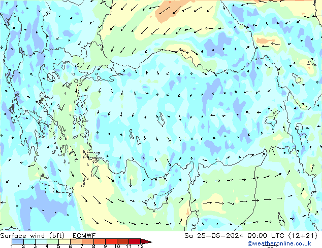 Surface wind (bft) ECMWF So 25.05.2024 09 UTC