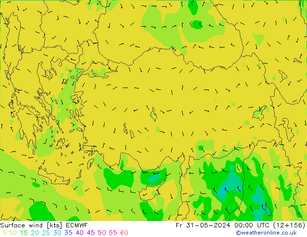 Surface wind ECMWF Fr 31.05.2024 00 UTC