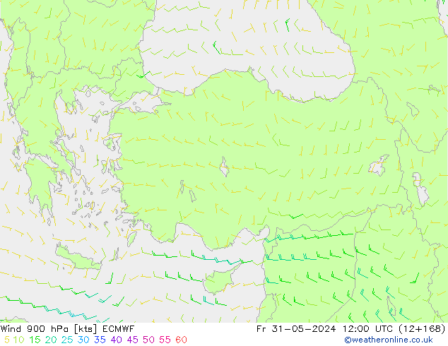 Wind 900 hPa ECMWF Pá 31.05.2024 12 UTC