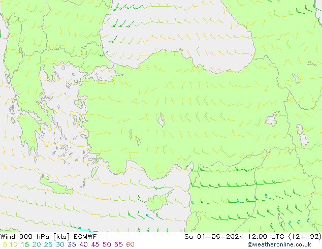 Wind 900 hPa ECMWF Sa 01.06.2024 12 UTC