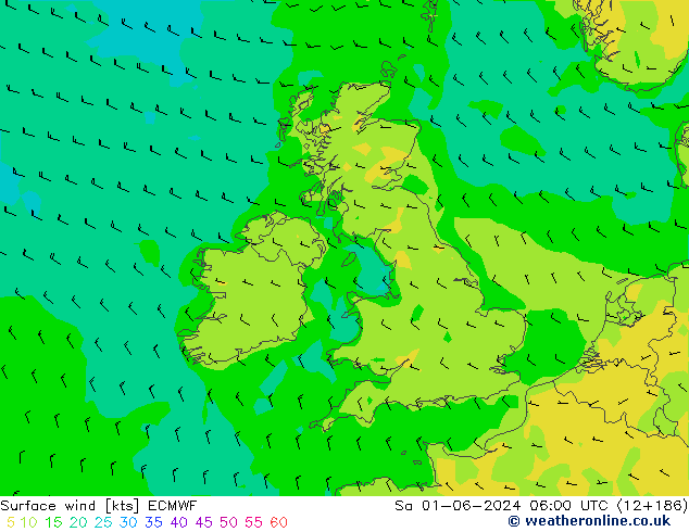 wiatr 10 m ECMWF so. 01.06.2024 06 UTC