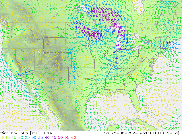 ветер 850 гПа ECMWF сб 25.05.2024 06 UTC