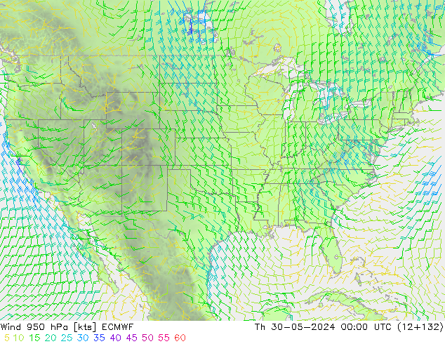  950 hPa ECMWF  30.05.2024 00 UTC