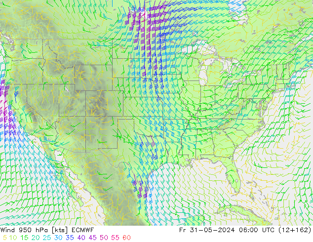  950 hPa ECMWF  31.05.2024 06 UTC