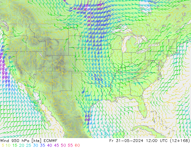 Wind 950 hPa ECMWF Fr 31.05.2024 12 UTC