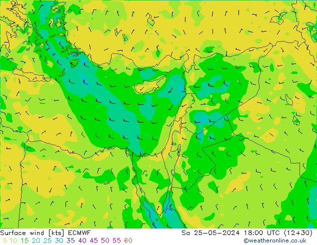 Surface wind ECMWF Sa 25.05.2024 18 UTC