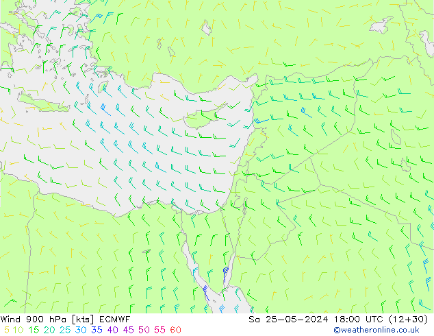 Wind 900 hPa ECMWF Sa 25.05.2024 18 UTC