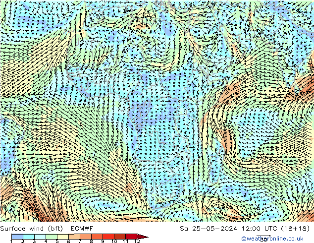 Surface wind (bft) ECMWF Sa 25.05.2024 12 UTC