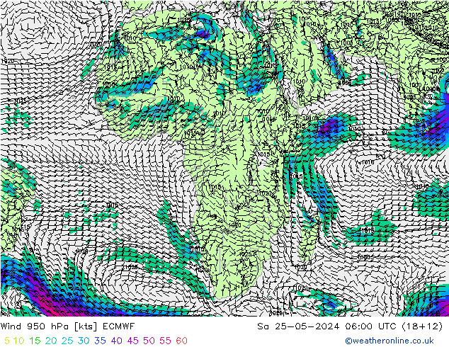 Wind 950 hPa ECMWF So 25.05.2024 06 UTC