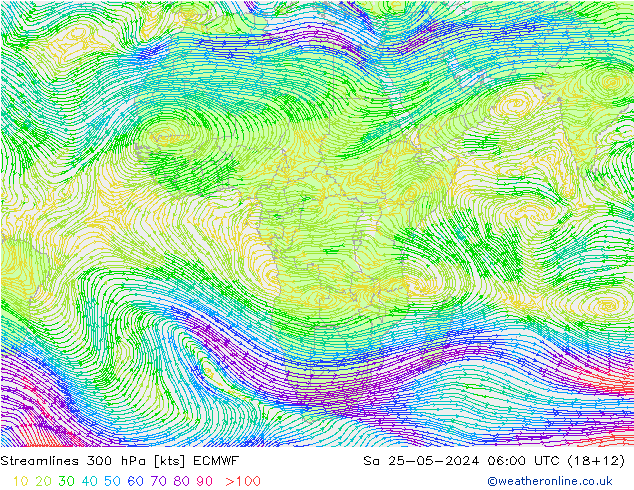 Ligne de courant 300 hPa ECMWF sam 25.05.2024 06 UTC