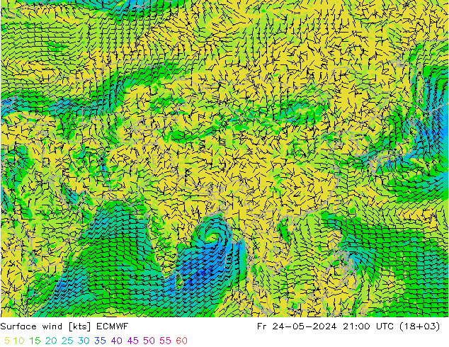 Surface wind ECMWF Fr 24.05.2024 21 UTC