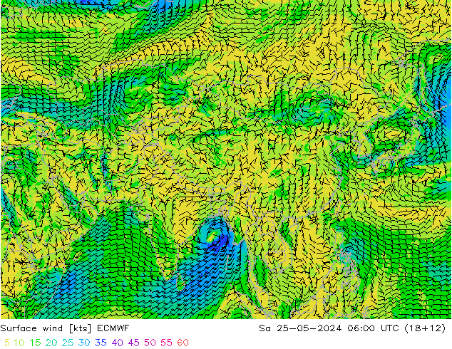 Wind 10 m ECMWF za 25.05.2024 06 UTC