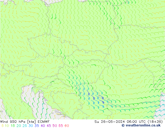 Wind 950 hPa ECMWF Su 26.05.2024 06 UTC