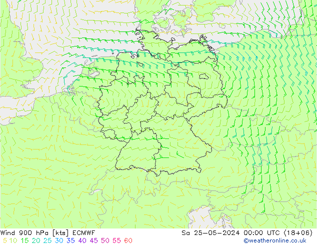 Wind 900 hPa ECMWF Sa 25.05.2024 00 UTC