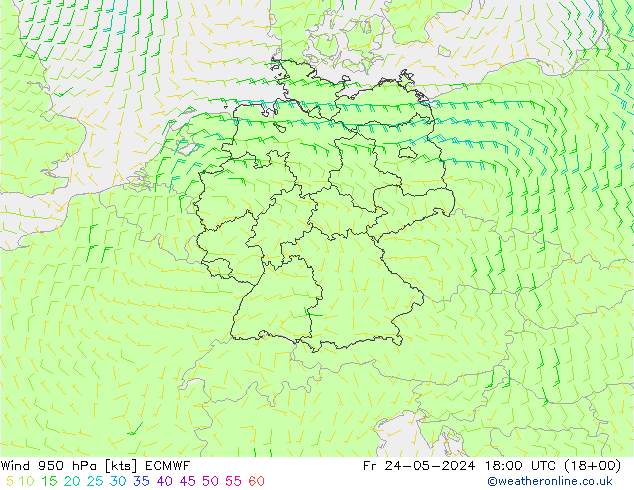 Vento 950 hPa ECMWF ven 24.05.2024 18 UTC