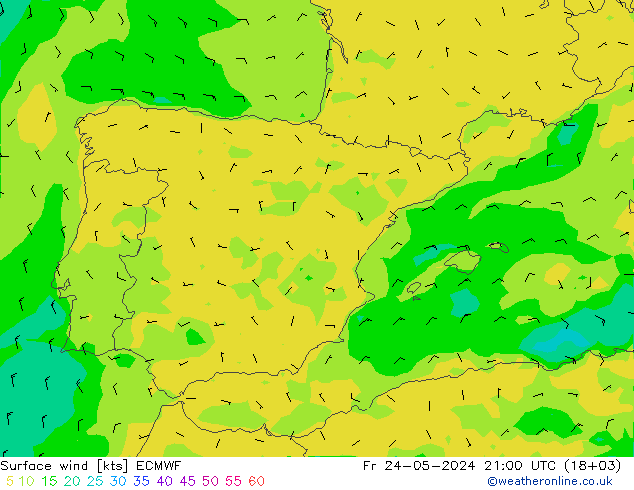 ветер 10 m ECMWF пт 24.05.2024 21 UTC