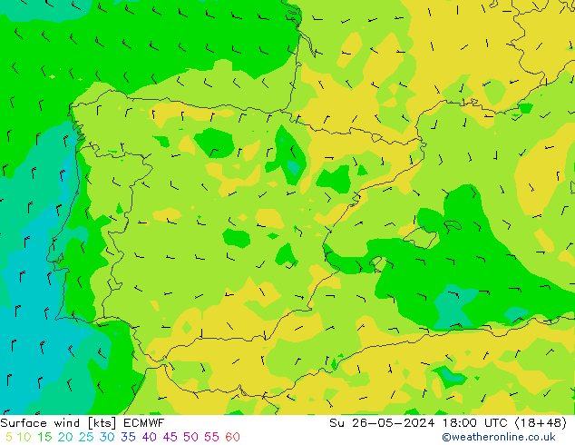 Vento 10 m ECMWF Dom 26.05.2024 18 UTC