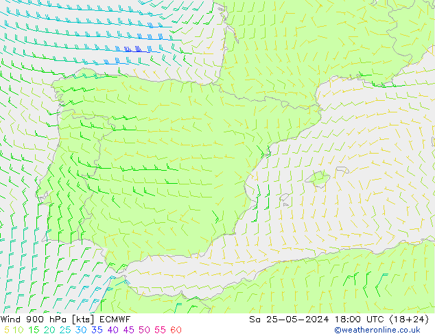 Vento 900 hPa ECMWF sab 25.05.2024 18 UTC