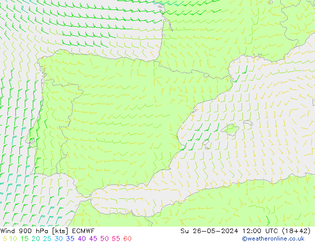  900 hPa ECMWF  26.05.2024 12 UTC