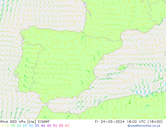 Wind 950 hPa ECMWF Fr 24.05.2024 18 UTC