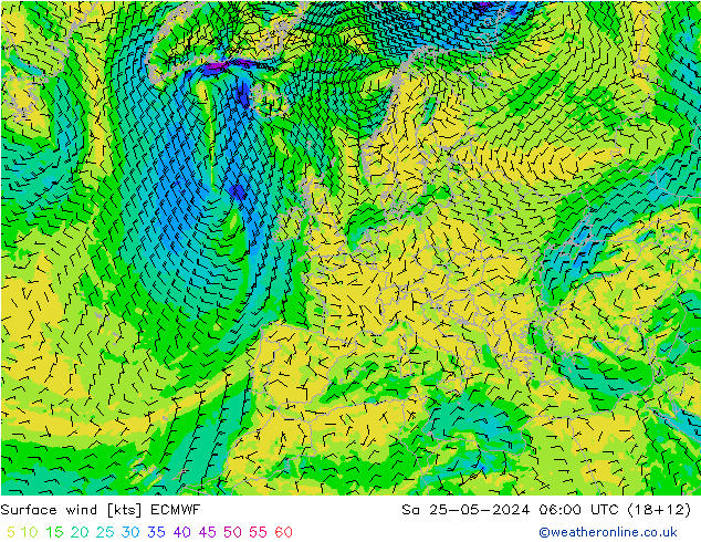 Surface wind ECMWF Sa 25.05.2024 06 UTC