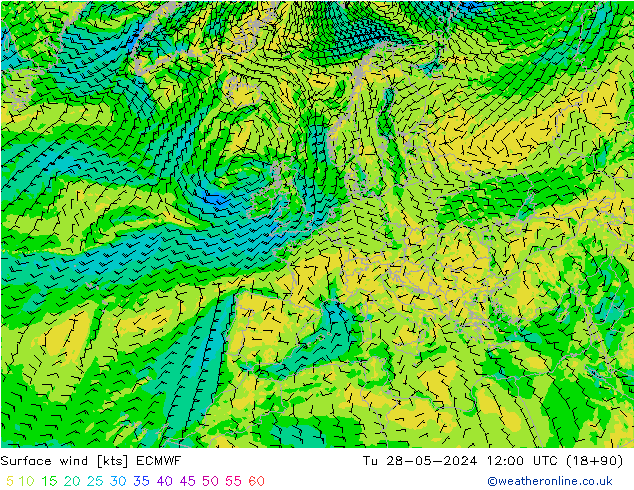 Bodenwind ECMWF Di 28.05.2024 12 UTC