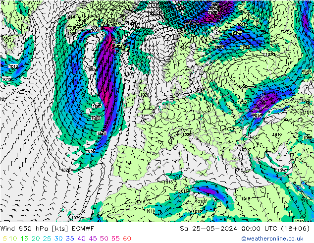 Rüzgar 950 hPa ECMWF Cts 25.05.2024 00 UTC